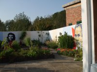 Cuban garden in evening